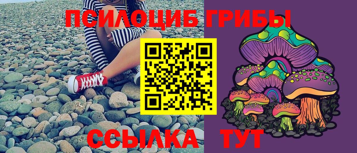 Галлюциногенные грибы мицелий  Галлюциногенные грибы мицелий  купить  сайты  Вход с VPN  Узловая 